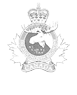 canada.ca_en_army_corporate_4-canadian-division_the-algonquin-regiment.webp